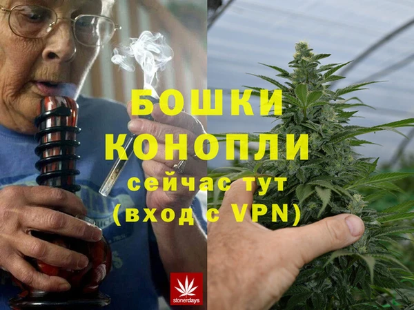МДПВ Липки