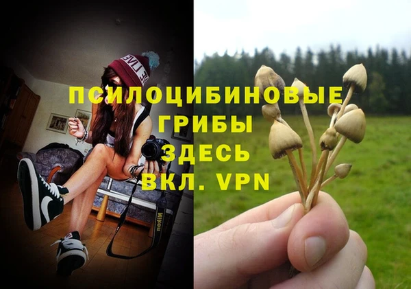 мдма Лиски