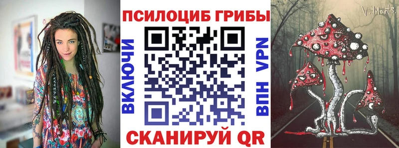 Галлюциногенные грибы GOLDEN TEACHER  Чадан 