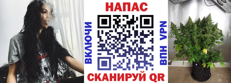 Бошки марихуана планчик  где купить наркоту  МЕГА сайт  Чадан 